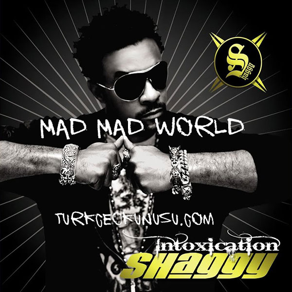 Shaggy - Mad Mad World